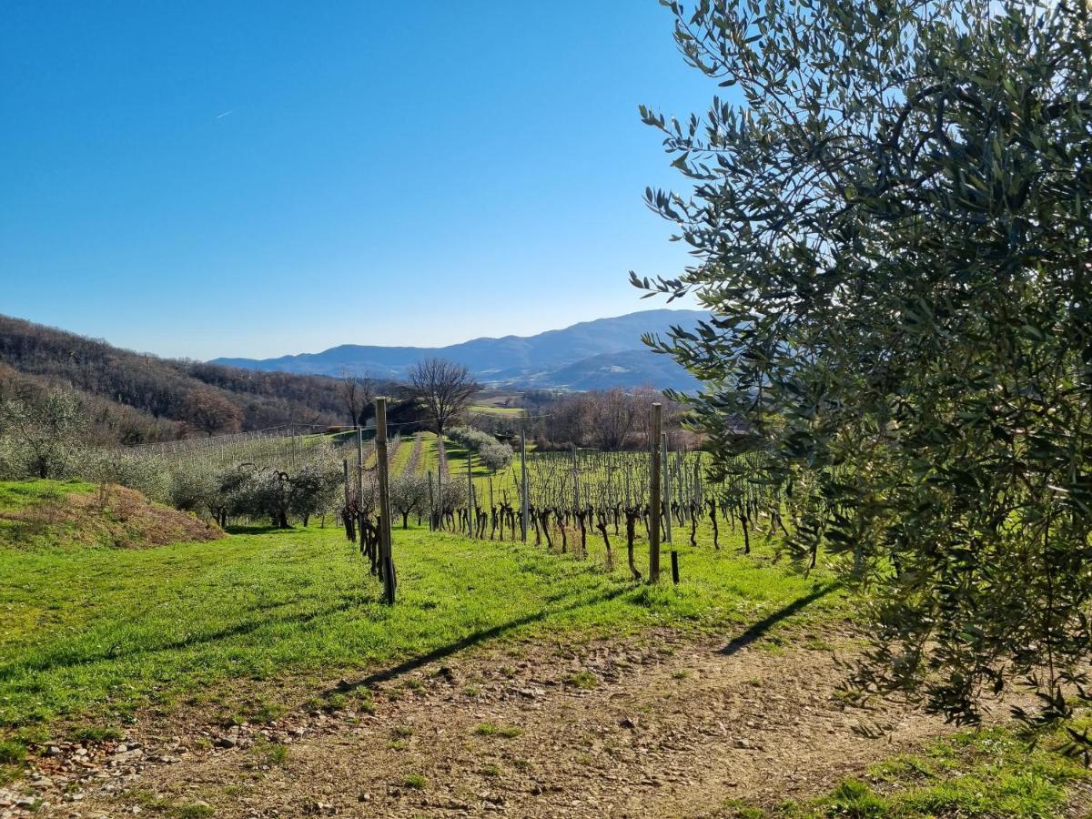 Walkandrace Sant'Agata  外观 照片